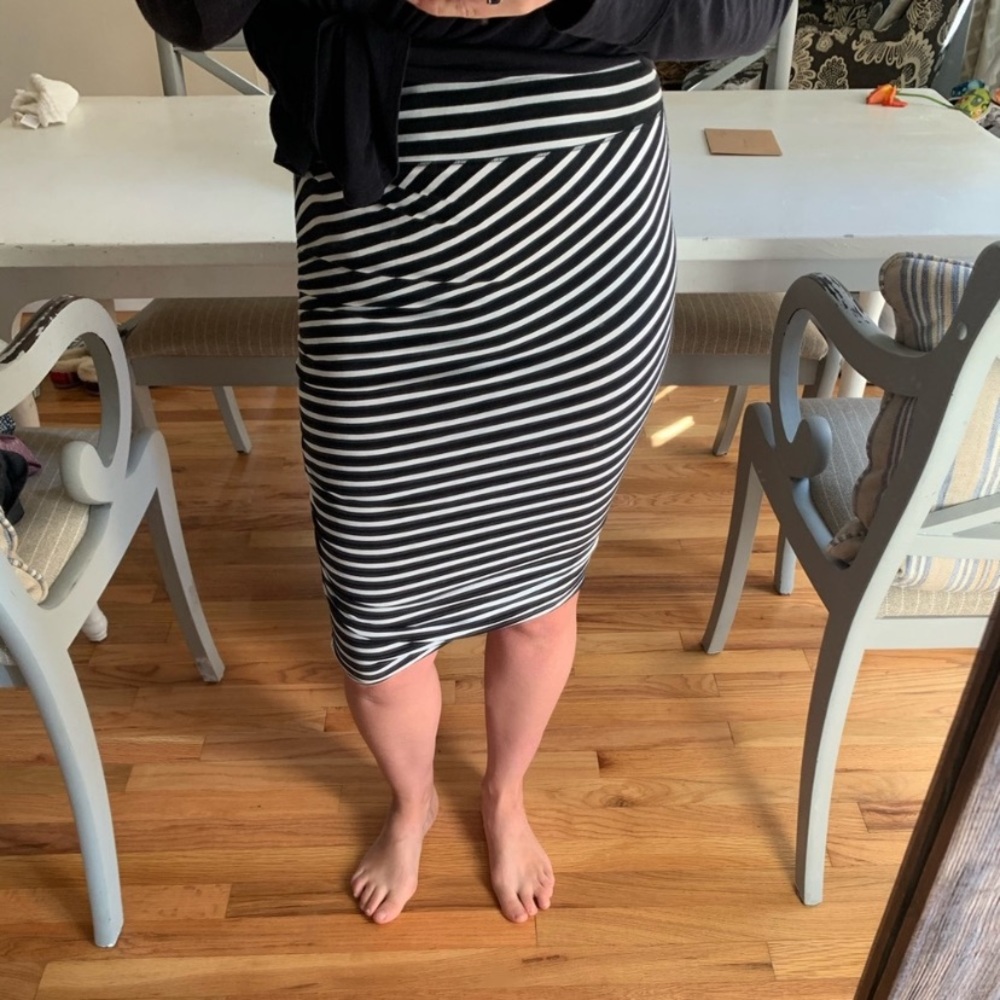 Adjustable Fitted Skirt
